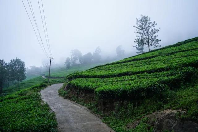 Lime Light Resort Munnar Eksteriør billede