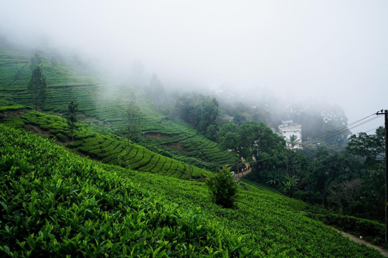 Lime Light Resort Munnar Eksteriør billede
